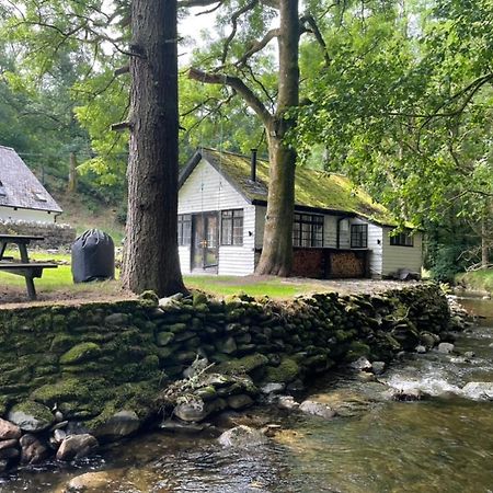 Cuckoo Cabin, Tyn Y Cwm Eglwys-Fach エクステリア 写真