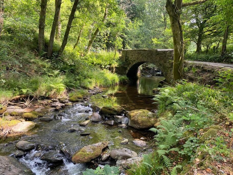 Cuckoo Cabin, Tyn Y Cwm Eglwys-Fach エクステリア 写真
