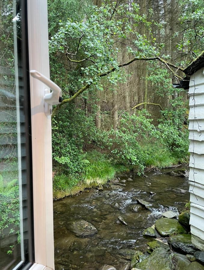 Cuckoo Cabin, Tyn Y Cwm Eglwys-Fach エクステリア 写真